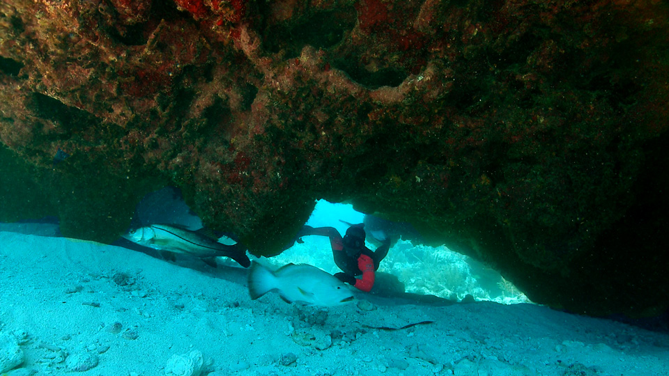 0512FrenchReef4