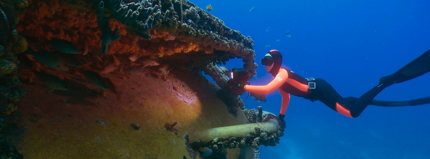 aquariuscover
